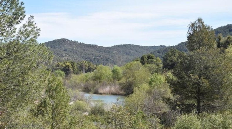 Teruel - Arens de Lledó - 98900m2