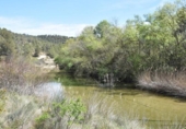 Detached villa with land for sale on España, Arens de Lledó, ref: TR299485 photo