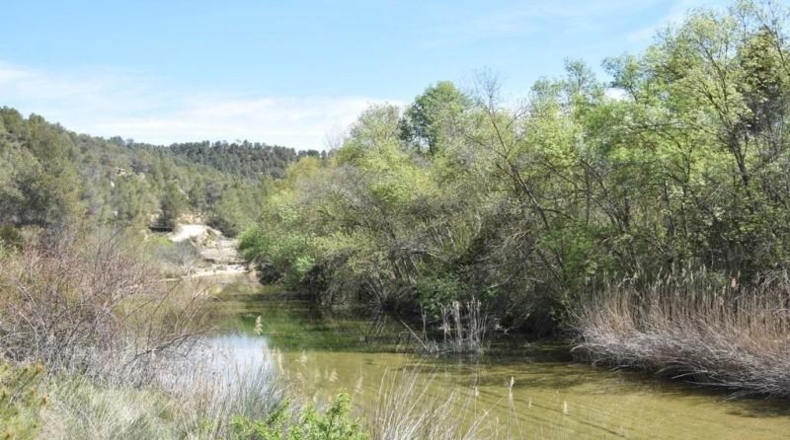 Teruel - Arens de Lledó - 98900m2