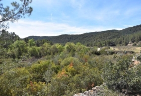 Arens de Lledó 98900&nbsp;м²