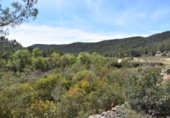 Detached villa with land for sale on España, Arens de Lledó, ref: TR299485 photo