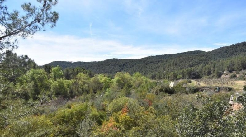 Teruel - Arens de Lledó - 98900m2