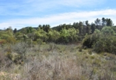 Detached villa with land for sale on España, Arens de Lledó, ref: TR299485 photo