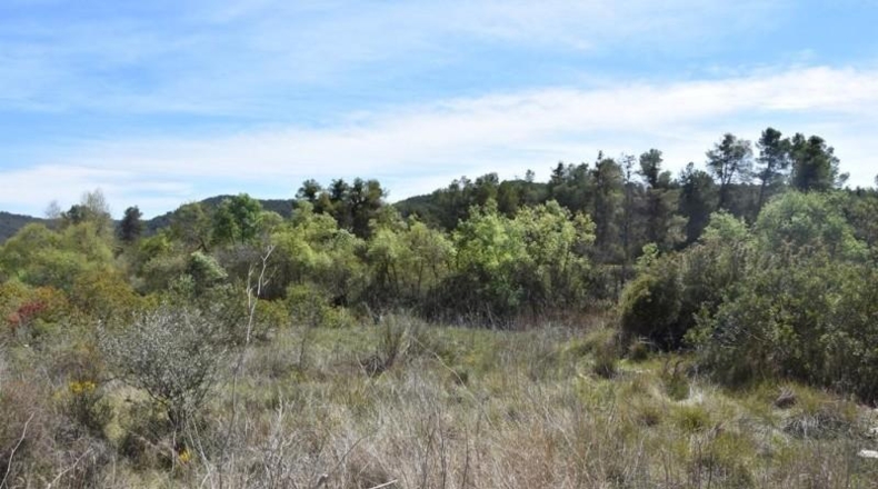 Teruel - Arens de Lledó - 98900m2