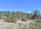 Detached villa with land for sale on España, Arens de Lledó, ref: TR299485 photo