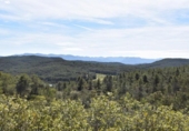 Detached villa with land for sale on España, Arens de Lledó, ref: TR299485 photo