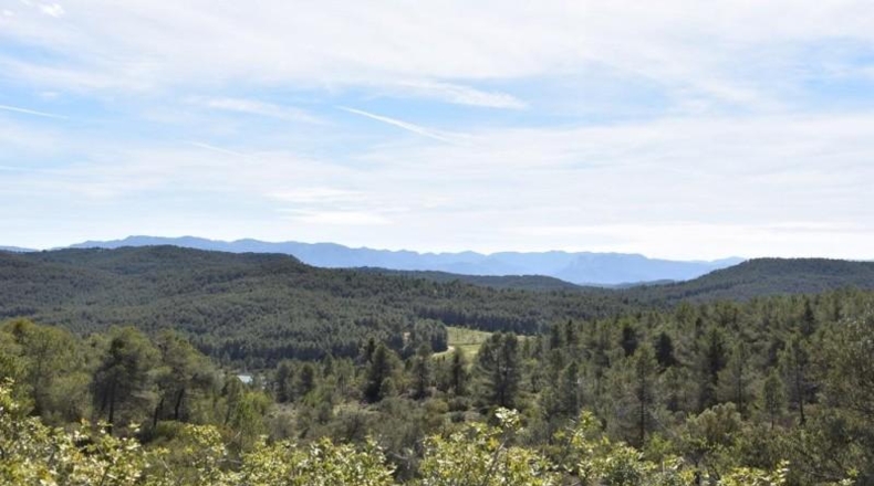 Teruel - Arens de Lledó - 98900m2