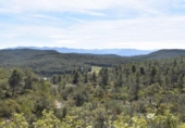 Detached villa with land for sale on España, Arens de Lledó, ref: TR299485 photo