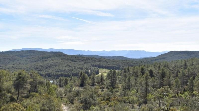 Teruel - Arens de Lledó - 98900m2