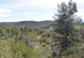 Detached villa with land for sale on España, Arens de Lledó, ref: TR299485 photo