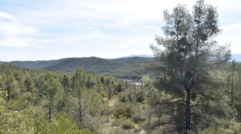 Teruel - Arens de Lledó - 98900m2
