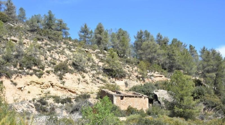 Teruel - Arens de Lledó - 98900m2
