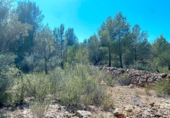 Non-developable land for sale on España, l'Ametlla de Mar, ref: TR121451 photo