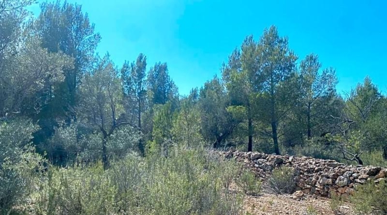 Tarragona - l'Ametlla de Mar - 39705m2
