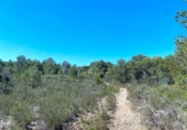 Non-developable land for sale on España, l'Ametlla de Mar, ref: TR121451 photo
