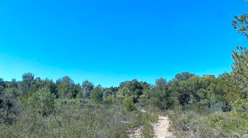 Tarragona - l'Ametlla de Mar - 39705m2