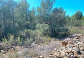 Non-developable land for sale on España, l'Ametlla de Mar, ref: TR121451 photo