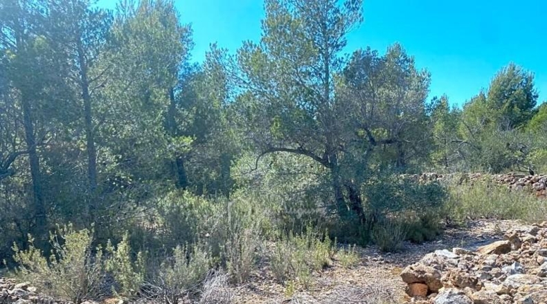 Tarragona - l'Ametlla de Mar - 39705m2