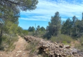 Non-developable land for sale on España, l'Ametlla de Mar, ref: TR121451 photo