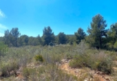 Non-developable land for sale on España, l'Ametlla de Mar, ref: TR121451 photo