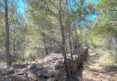Non-developable land for sale on España, l'Ametlla de Mar, ref: TR121451 photo