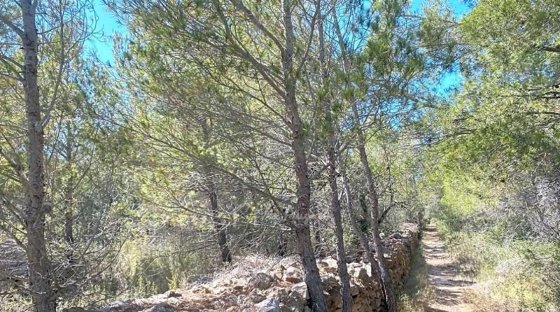 Tarragona - l'Ametlla de Mar - 39705m2