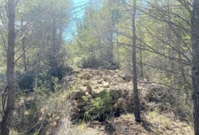 Foto 11