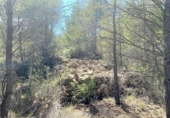 Non-developable land for sale on España, l'Ametlla de Mar, ref: TR121451 photo