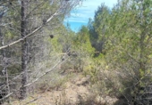 Non-developable land for sale on España, l'Ametlla de Mar, ref: TR121451 photo