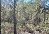 Non-developable land for sale on España, l'Ametlla de Mar, ref: TR121451 photo