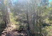 Non-developable land for sale on España, l'Ametlla de Mar, ref: TR121451 photo