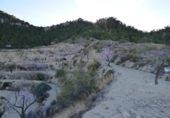 Non-developable land for sale on España, Sella, ref: TR255831 photo