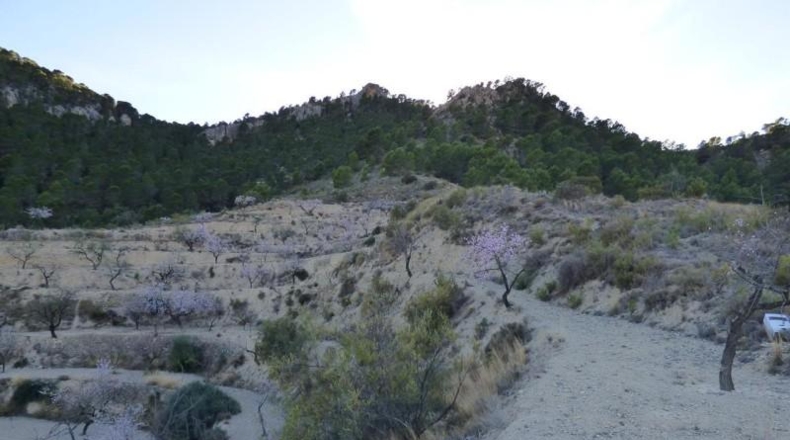 Alicante - Sella - 16800m2