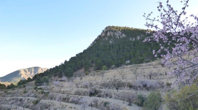 Alicante - Sella - 16800m2