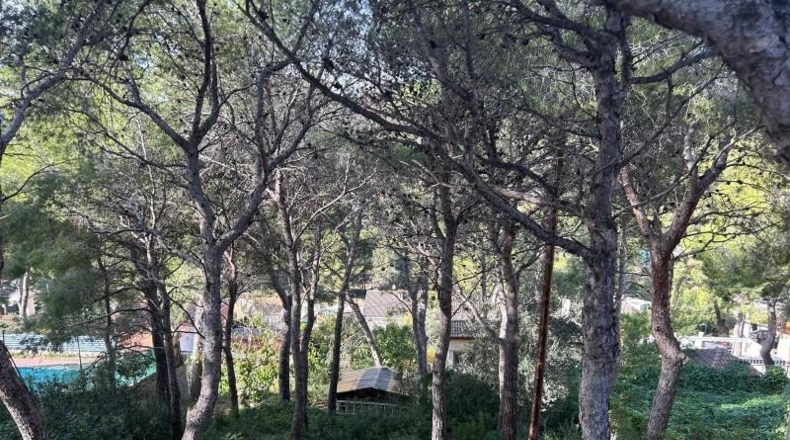 Tarragona - Calafell - 510m2