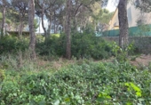 Sòl urbà en venda a la España, Calafell, ref.: TR368600 foto