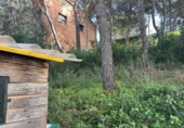 Sòl urbà en venda a la España, Calafell, ref.: TR368600 foto