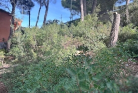 Foto 16