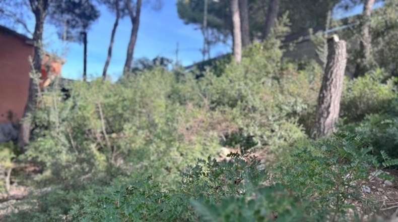 Tarragona - Calafell - 510m2