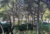 Sòl urbà en venda a la España, Calafell, ref.: TR380741 foto