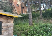 Sòl urbà en venda a la España, Calafell, ref.: TR380741 foto