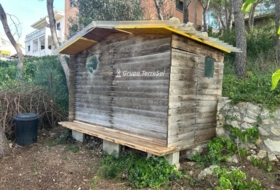 Foto 11