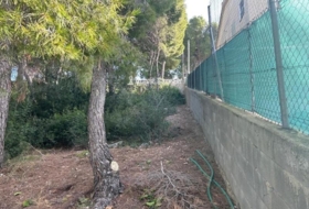 Foto 12