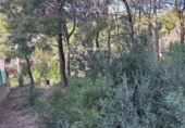 Sòl urbà en venda a la España, Calafell, ref.: TR380741 foto