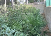 Sòl urbà en venda a la España, Calafell, ref.: TR380741 foto