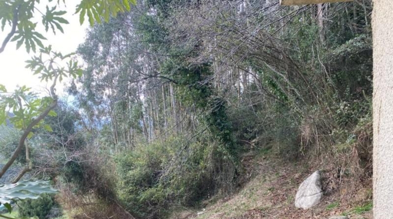 Asturias - Gijón - 6900m2