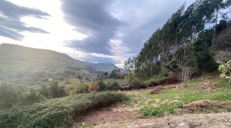 Asturias - Gijón - 6900m2