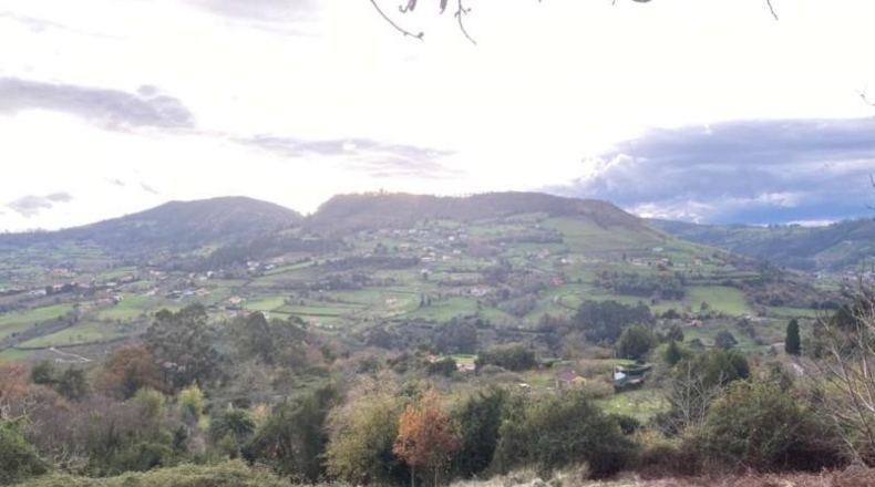 Asturias - Gijón - 6900m2