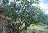 Non-developable land for sale on España, Gijón, ref: TR241817 photo