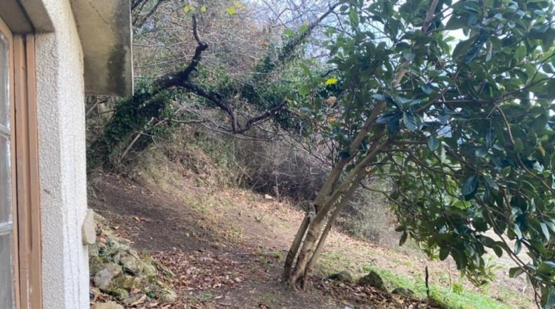 Asturias - Gijón - 6900m2